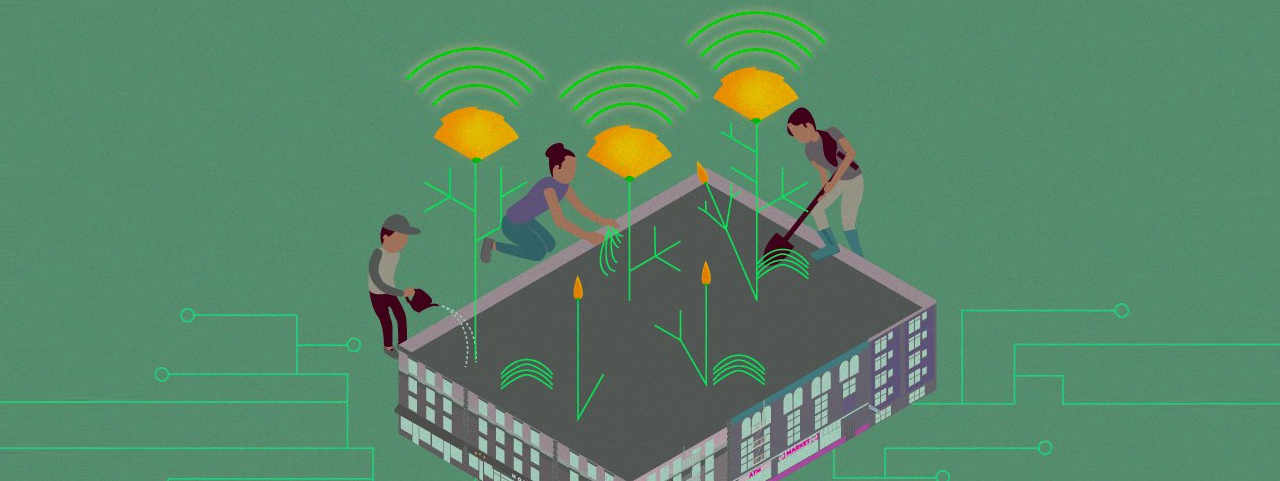 Illustration de l'article: des personnes jardinent sur un datacenter